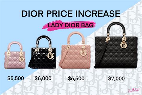 dior premium|how expensive is dior.